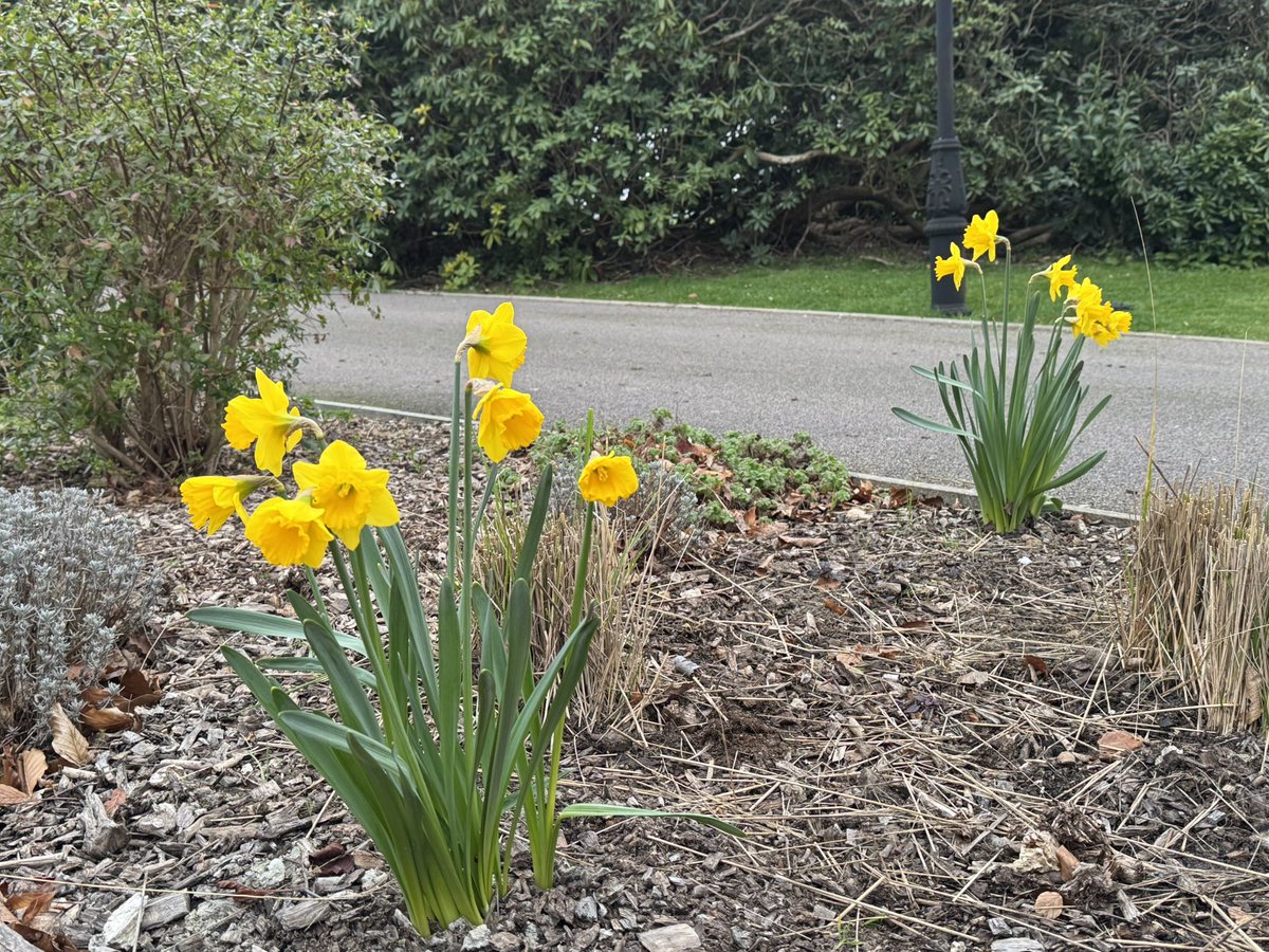 RSDriver00 tweet media