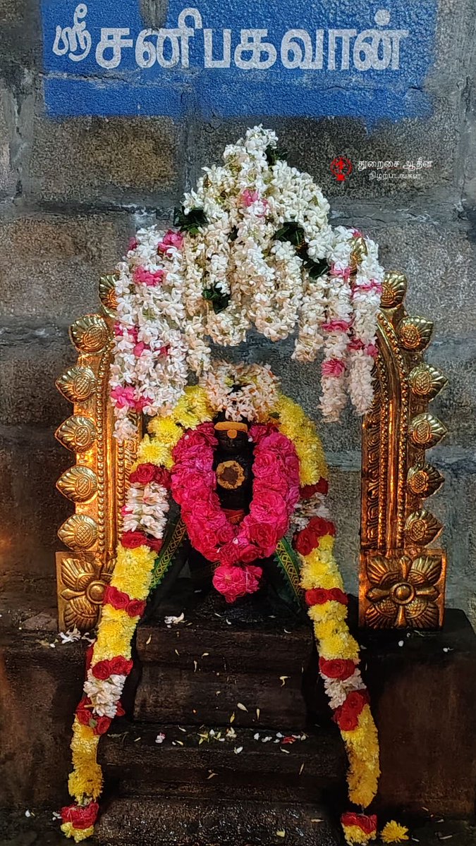 திருக்கயிலாய பரம்பரை மெய்கண்ட சந்தானம் திருவாவடுதுறை ஆதீனத்திற்கு சொந்தமான திருவாவடுதுறை ஸ்ரீ ஒப்பிலாமுலையம்மை உடனாய ஸ்ரீ மாசிலாமணீஸ்வரர் திருக்கோயிலில் இன்று சனிப்பெயர்ச்சியை முன்னிட்டு ஶ்ரீ சனிபகவானுக்கு மகா ஹோமமும், மகா அபிஷேகமும், மகா தீபாராதனையும் சிறப்பாக நடைபெற்றது.