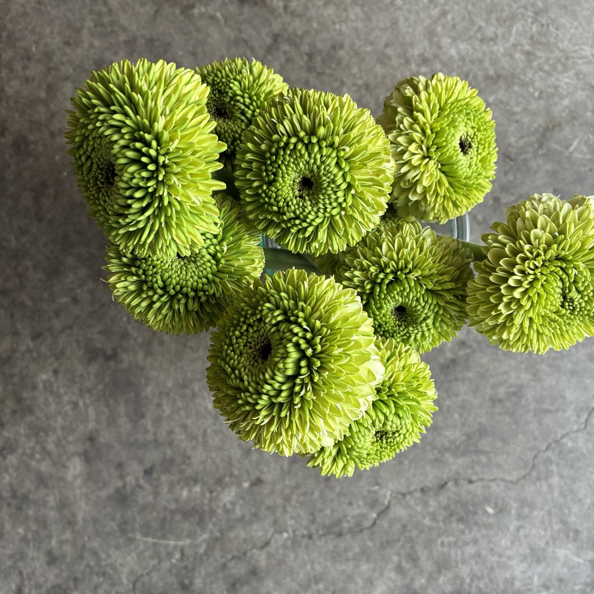 d`ici peu tweet media