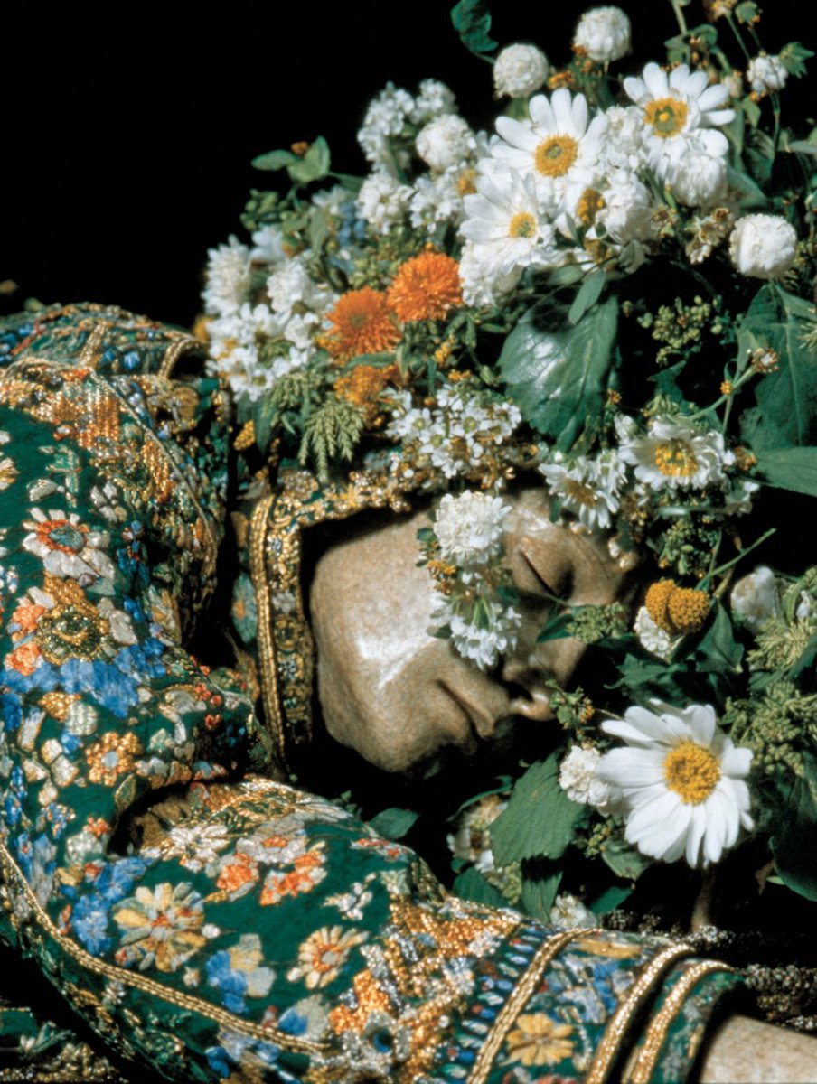 Cosmospira (@cosmospira) on Twitter photo 