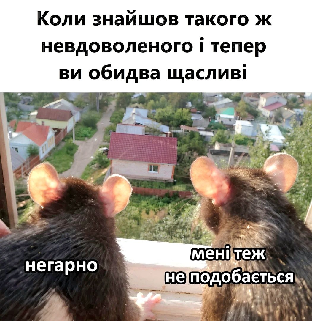 Гумор меми і приколи Сема 😹✌️ tweet media