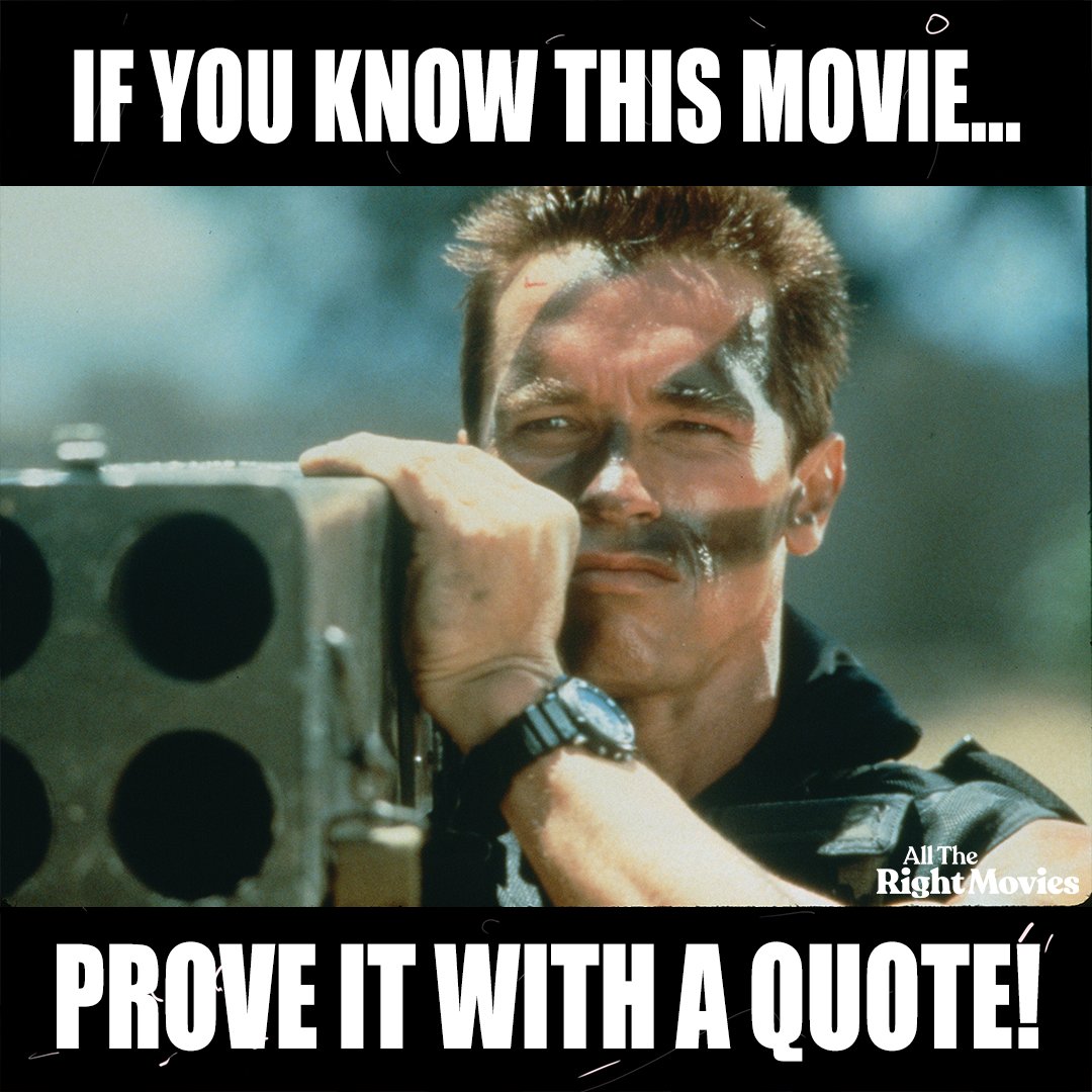 All The Right Movies tweet media