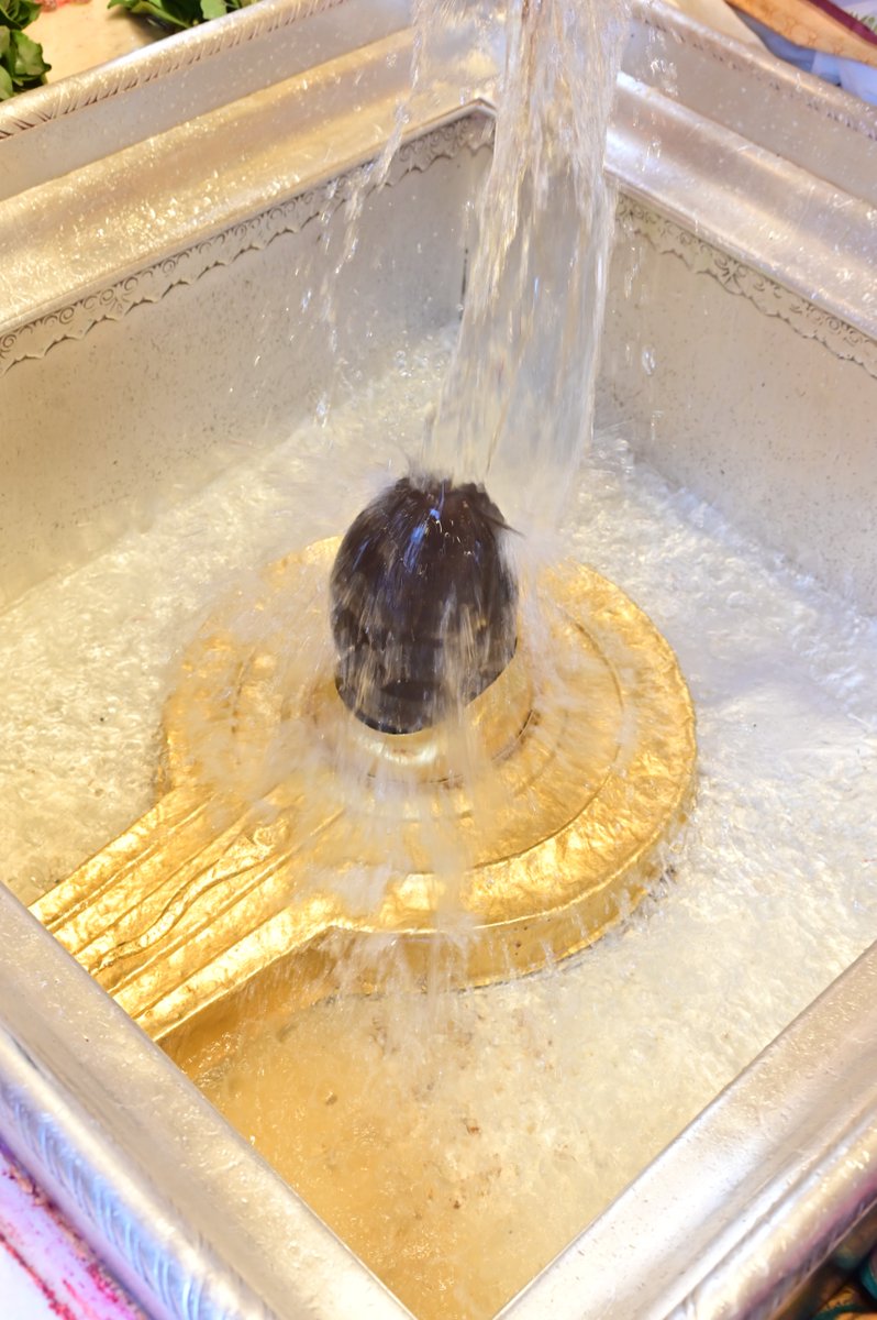 Shri Kashi Vishwanath Temple Trust tweet media