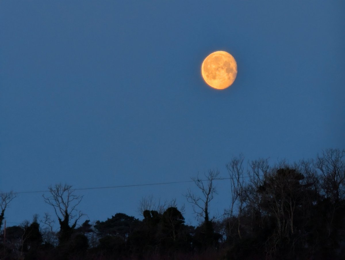 Anne Kelly ⛔NO DMs⛔ unless I know or follow you. tweet media