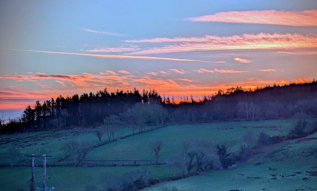 Anne Kelly ⛔NO DMs⛔ unless I know or follow you. tweet media