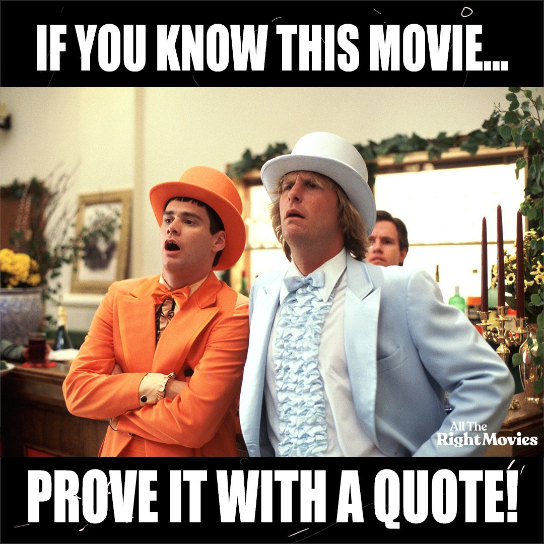 All The Right Movies tweet media