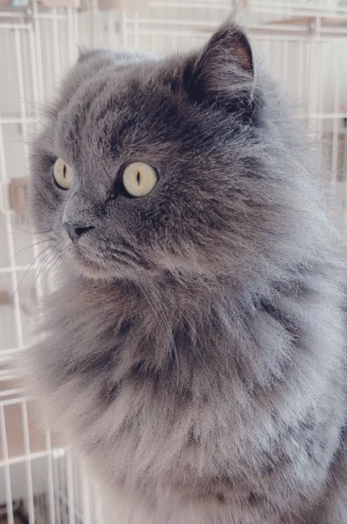 のきちゃん🍰 tweet media