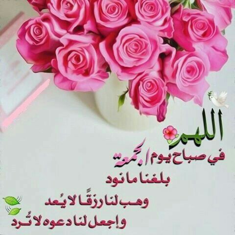 nagahlibya's tweet photo. ✍🏻سلامٌ على النفوس التي تنشغل بماينفعها ويرفعها،منصرفةعمّالاشأن لها فيه،إن لم تنفع لم تضرّ،بنّاءةمعطاءة،تبذل الخيرلأجل الخير؛هي بحق منبع الخيرفي كل زمان ومكان 
✍لهؤلاء النفوس المباركةحفظكم الرحمن أينما كنتم، فوق أي أرض وتحت أي سماء✍صباح العافيةلأهل القلوب الصافية
✍جمعة مباركة https://t.co/EBzdaUyqb3