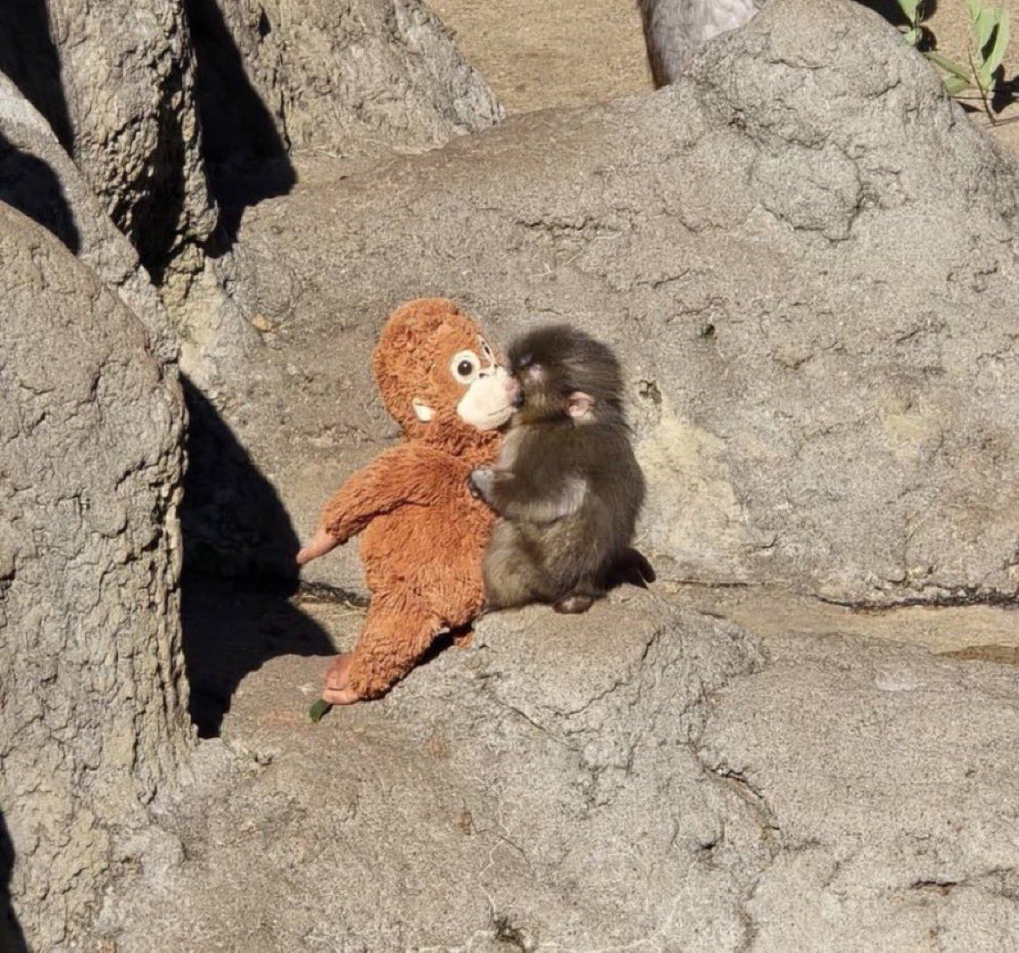 Yo a mis casi 24 años yendo a dormirme con mi peluche