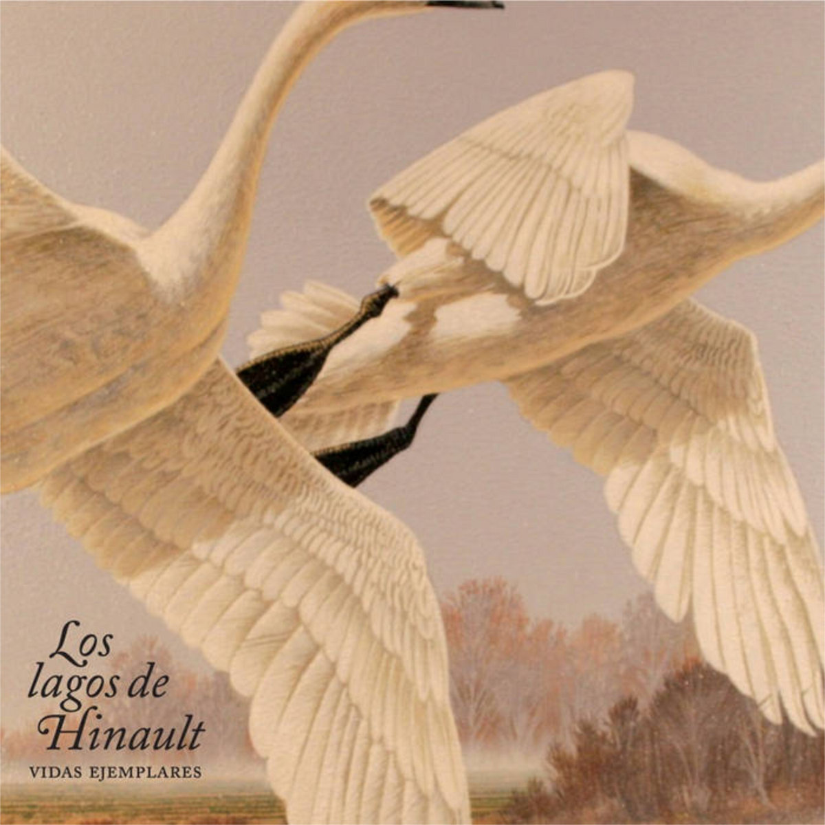 FIKASOUND tweet media