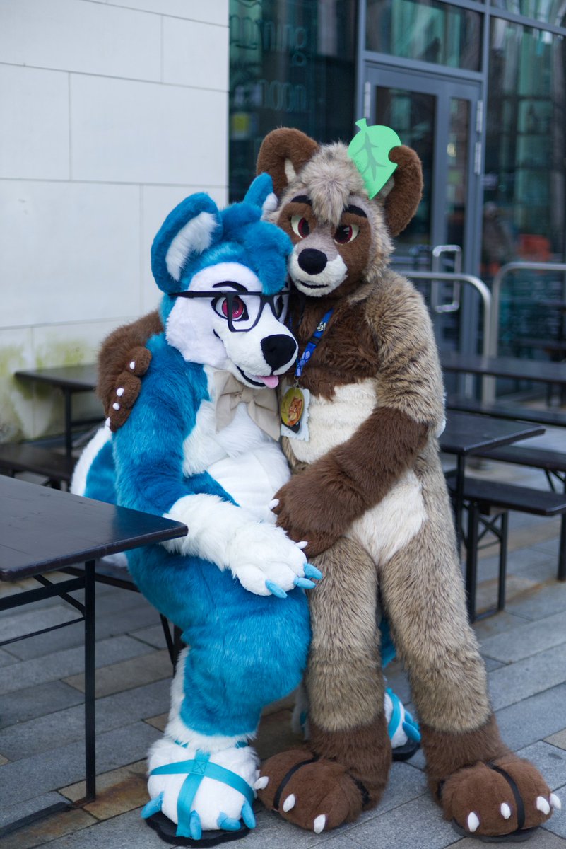 Adam Curly 🔜CFz, MP, Furrific & MFF tweet media