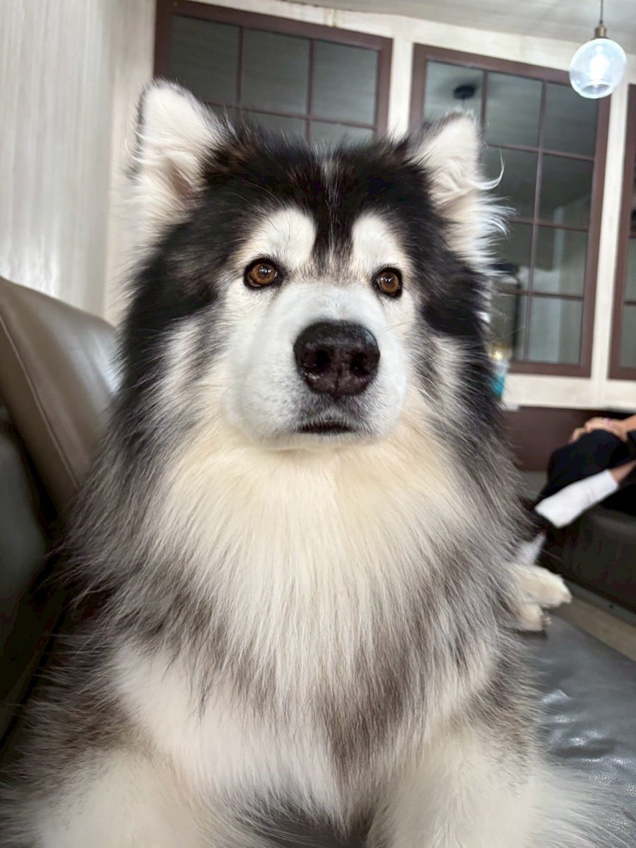 He told me(ฮิโตมิ) tweet media