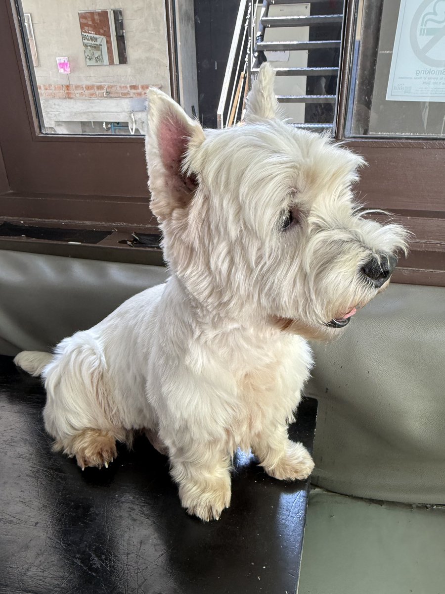 He told me(ฮิโตมิ) tweet media