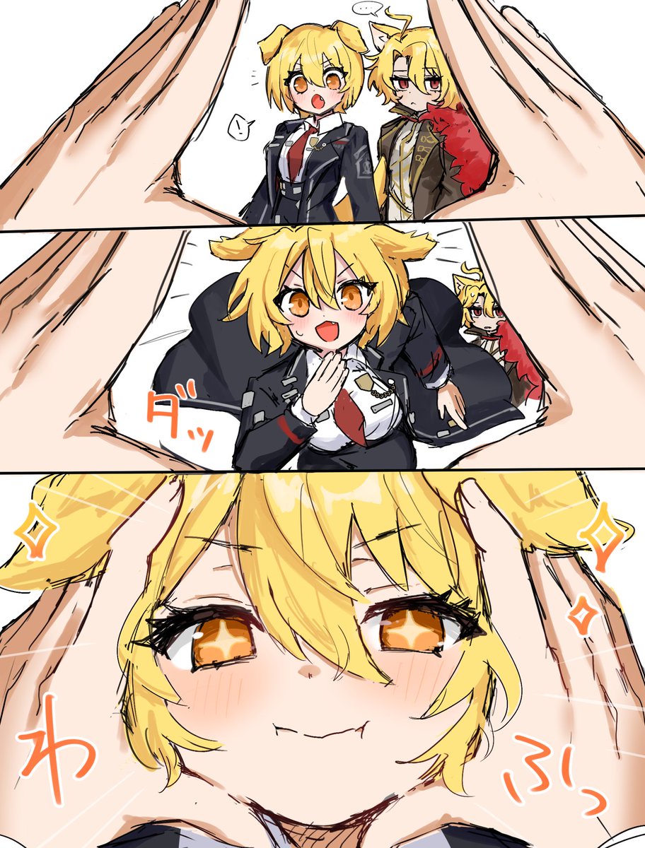いぬたん tweet media