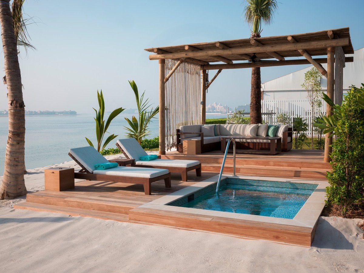 Cape Reed International tweet media