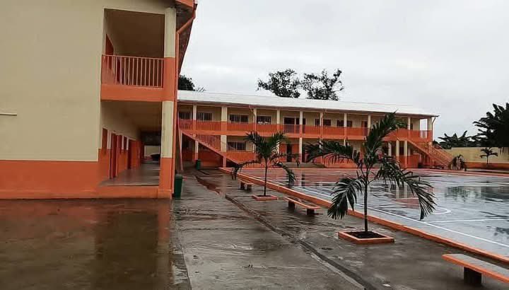 The Cameroonian 🇨🇲 tweet media