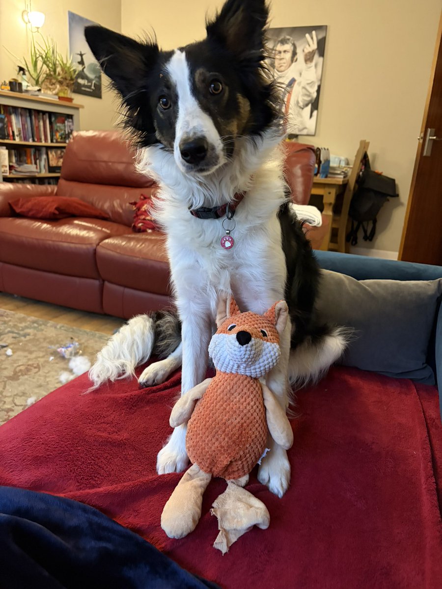 Mr Fox says his leg hurts