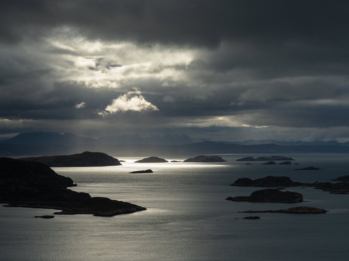 Paul Willson tweet media