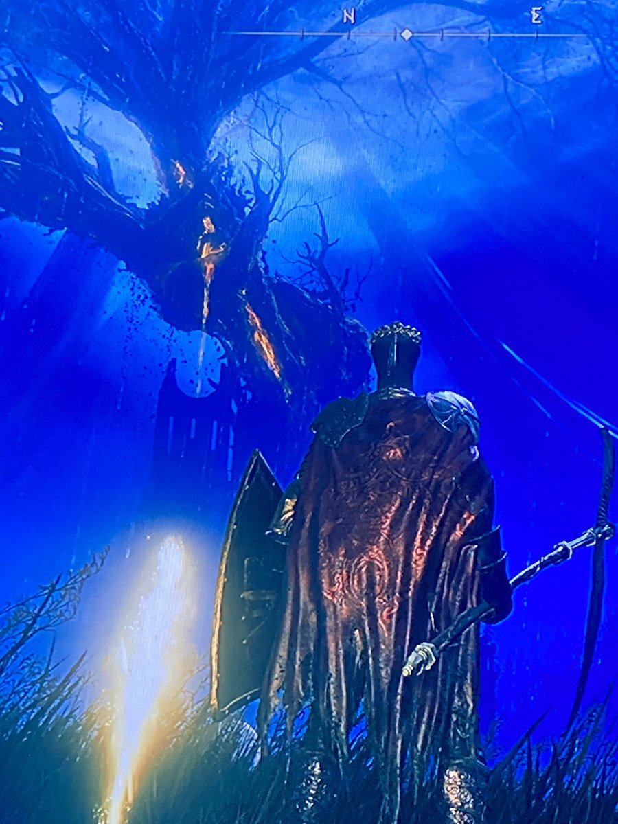 Jake Flores 🇵🇸🇲🇽 tweet media