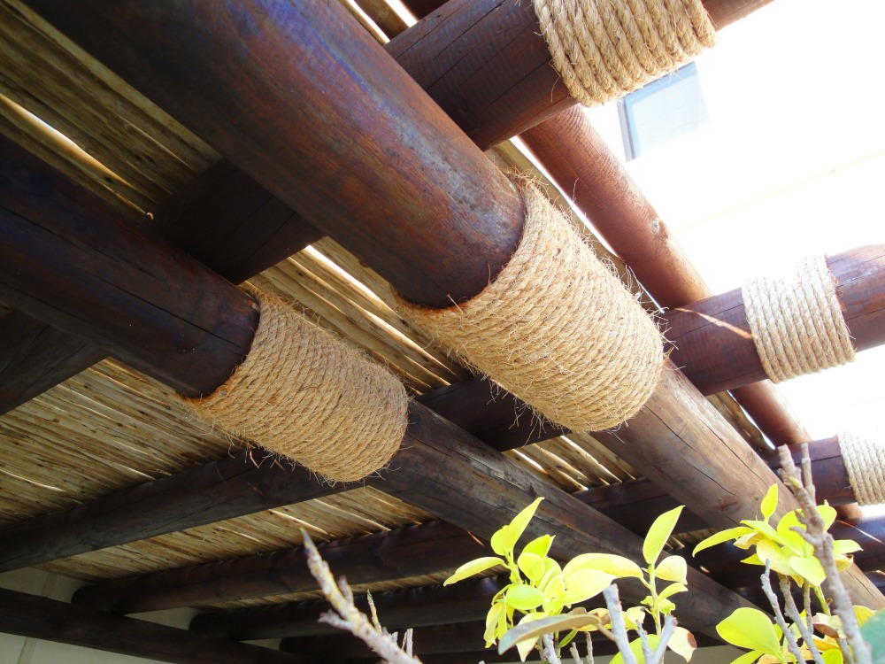 Cape Reed International tweet media