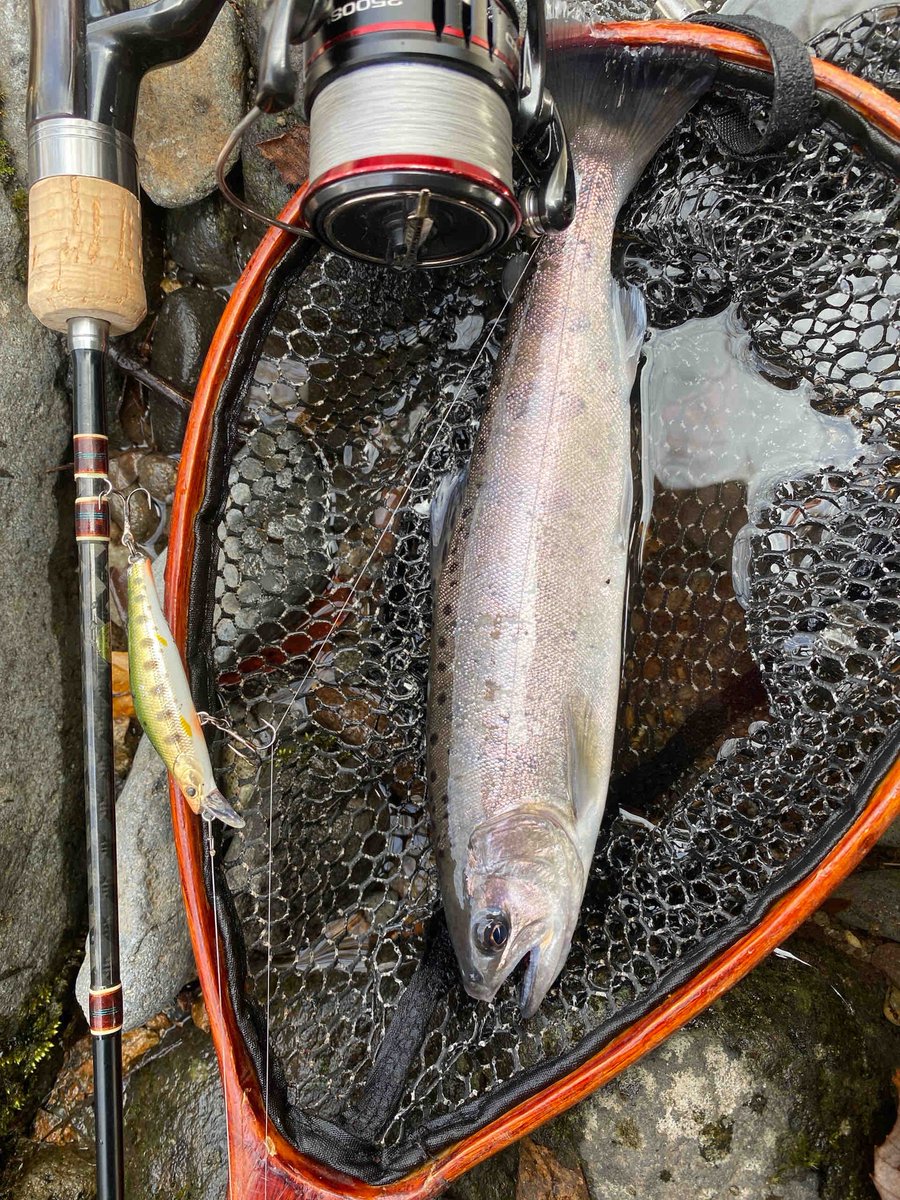 ティムコ トラウトフィッシング (@tiemco_trout) / Posts / X