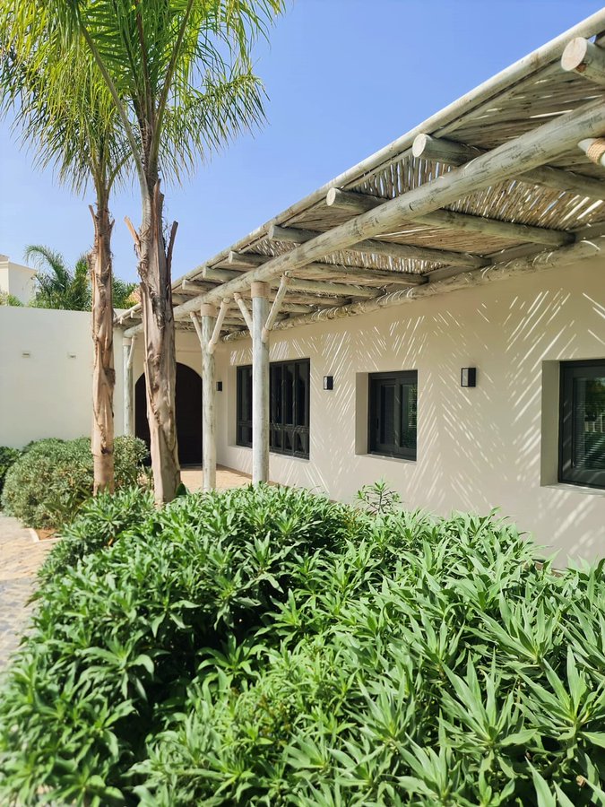 Cape Reed International tweet media