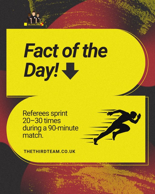 The Third Team tweet media