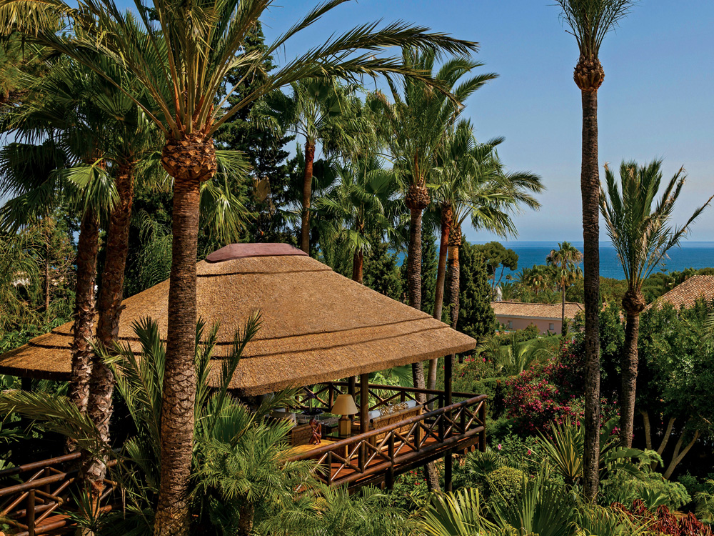 Cape Reed International tweet media