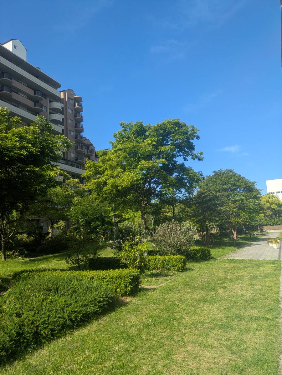 idsupport2024's tweet photo. 今週もお仕事お疲れ様でした🐈
来週からも気温が上がるみたいです。花粉症の方はこの２,３週間つらい日々が続きますが、乗り越えていきましょう( ^)o(^ ) https://t.co/OpAvJ4QKLT