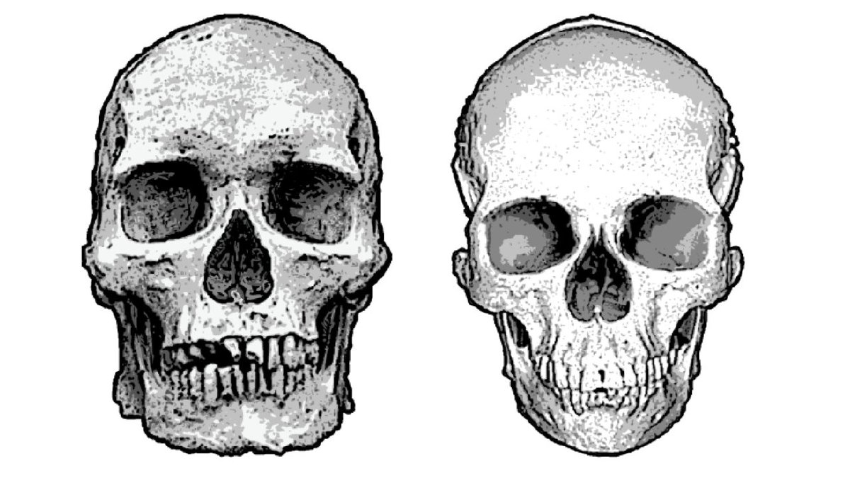 Shaun23042602's tweet photo. who--has what--skull---its a 50/50---and you get to pick https://t.co/8lg2gXPS3X