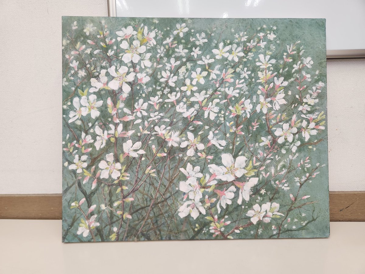 みどり (@midori2011twit) / Posts / X