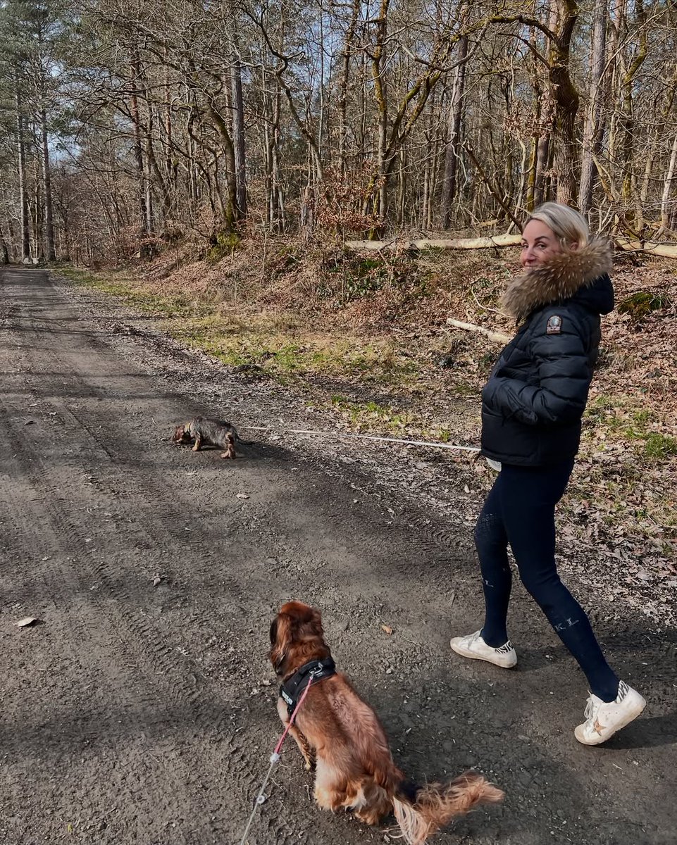 BVazif's tweet photo. Just a mother🥰taking a quiet walk with her loyal girl, Cleo❤️. Sometimes the best therapy in life has four paws and a happy tail.😅🐕✨ https://t.co/1bqr1XQJrp
