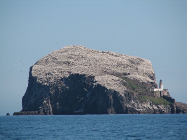 North Ages tweet media