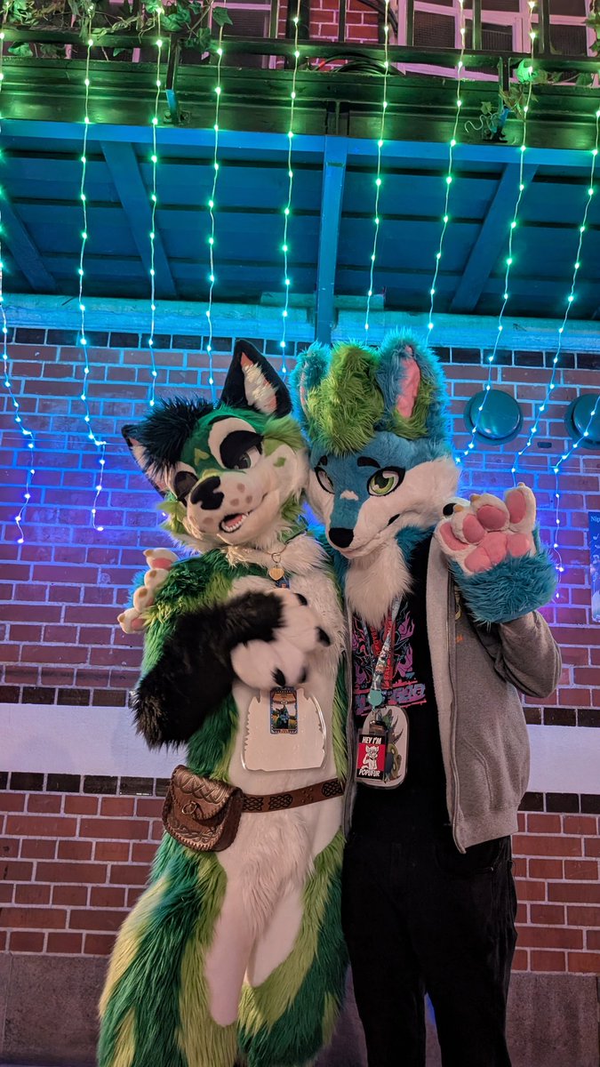 Fluxfoxx_'s tweet photo. Who's this? It's @KettuFloof at #NFC2026. Happy #FursuitFriday! I wanna go back on hoilday 😭

Nice meeting ya! We should hang out more! 💚

#furry #fursuit https://t.co/DMWKGzOqa8