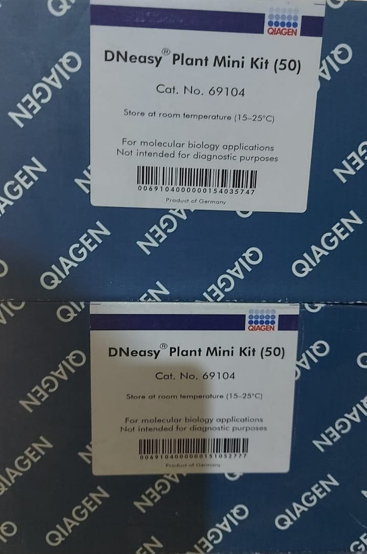 mutasaaga Benjamin ll tweet media