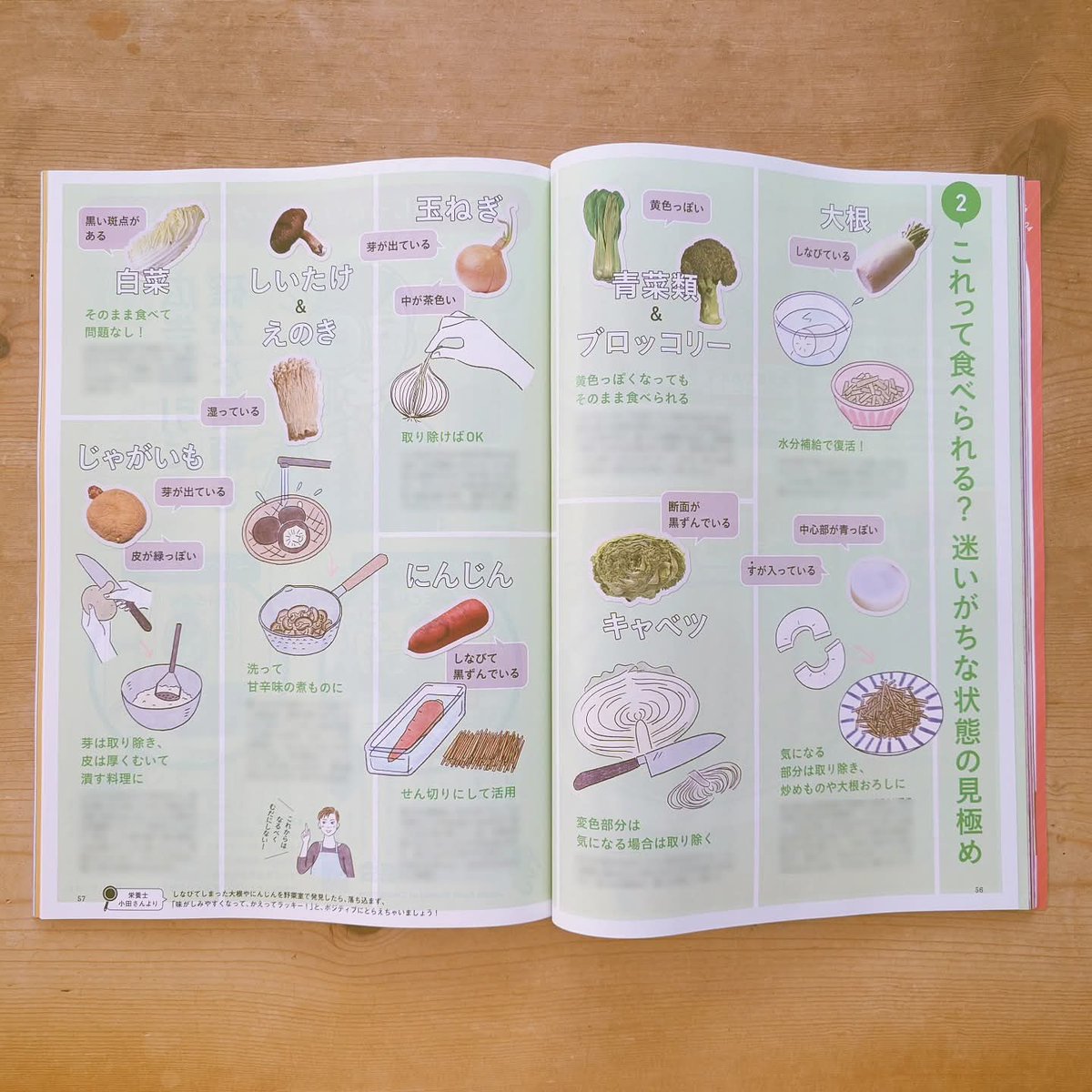 かとまりillustration tweet media