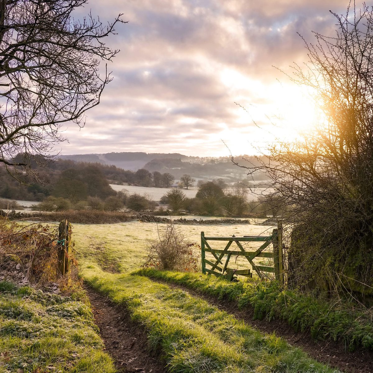 It feels like such a privilege to stand and witness a sunrise, to watch light and colour gently filling the sky, edging aside the dark. A slow warmth rolls in, melts the dew caught in the shadows and burns away the last mists over the hills. I always feel a little disappointed