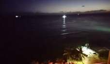 Gabi Yankelevich, DO tweet media