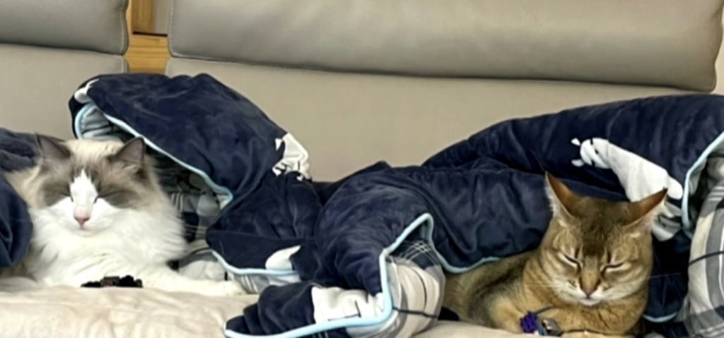 어째 이번 출장은                                        100밤
   좀 길다?                                             자고온댔잖
       O                                                                  O
           o                                                            o