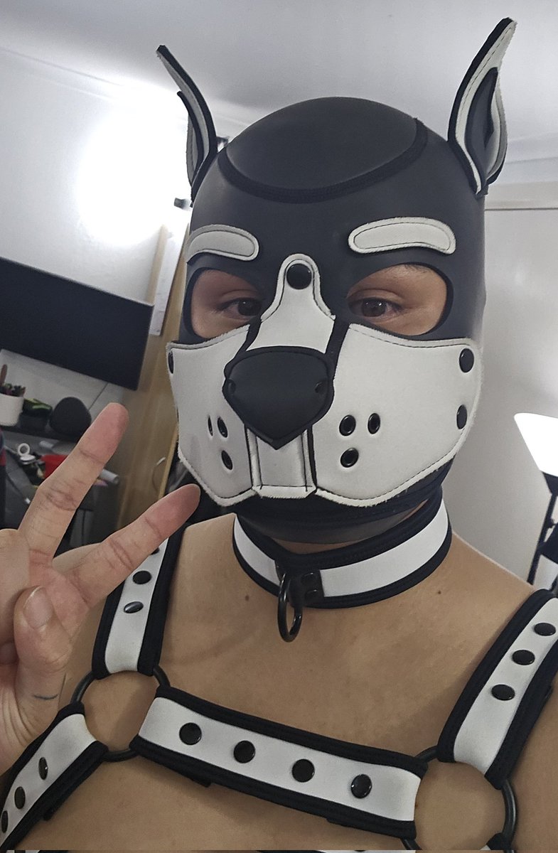 Pup Weiss 👻 tweet media