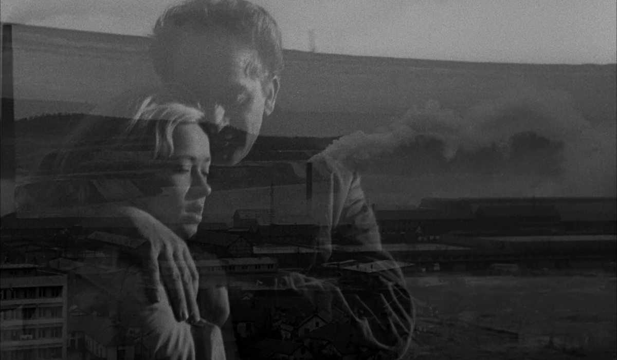 Liberating Cinema UK tweet media