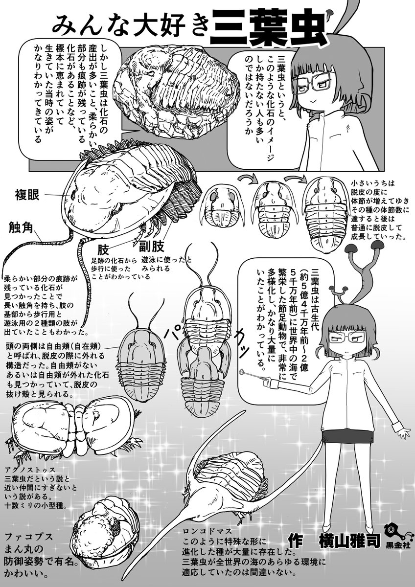 そもそも三葉虫とはなんぞや、というお話。
#クック先生の動物講座 