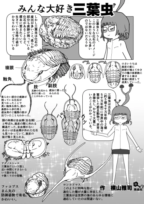 そもそも三葉虫とはなんぞや、というお話。
#クック先生の動物講座 