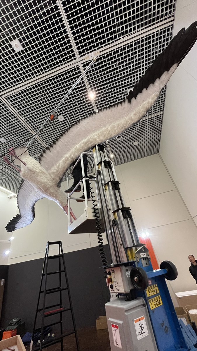 【公式】特別展「鳥」 tweet media