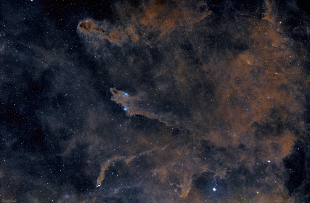 Jaume Zapata tweet media