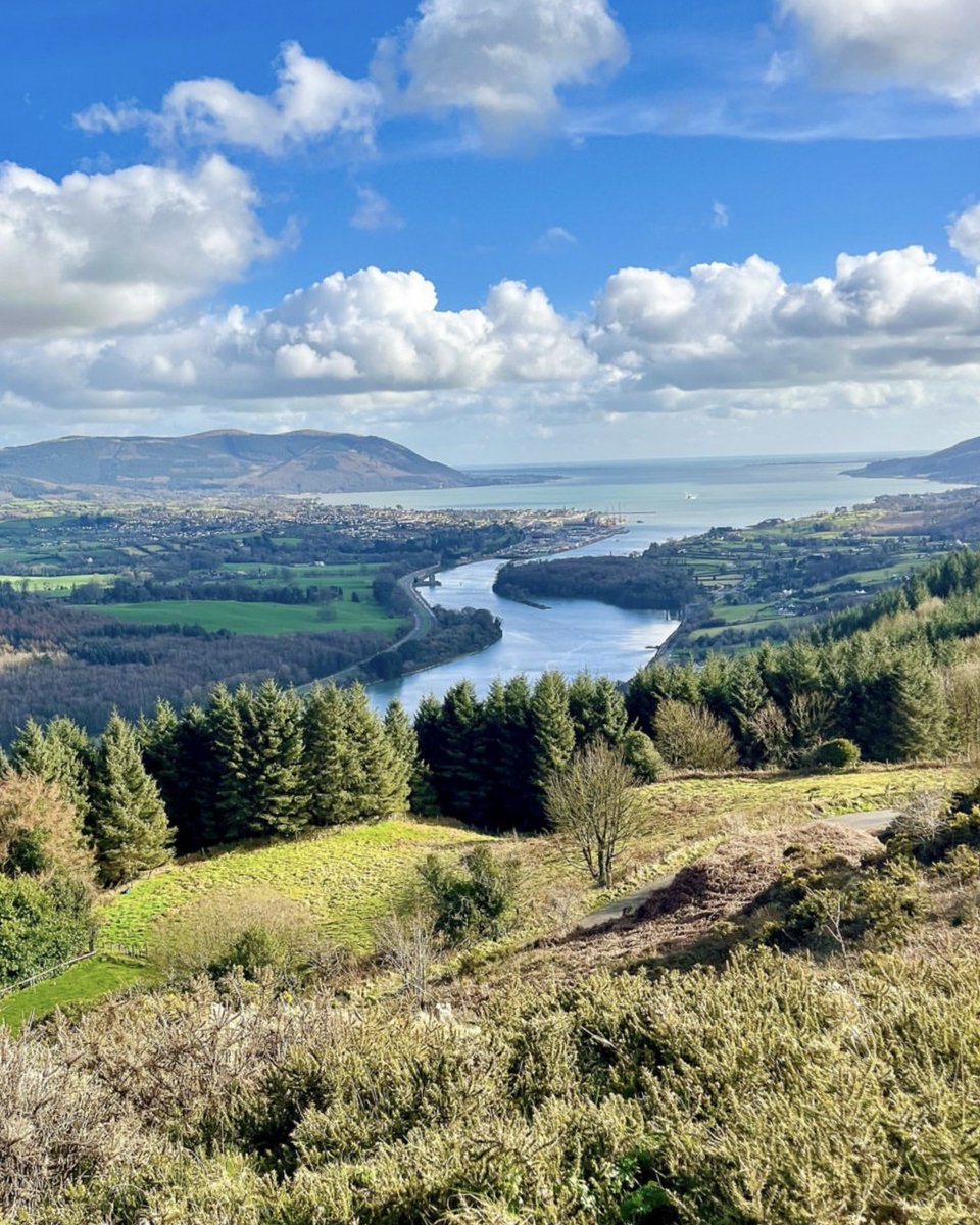 Catherine Fulvio tweet media