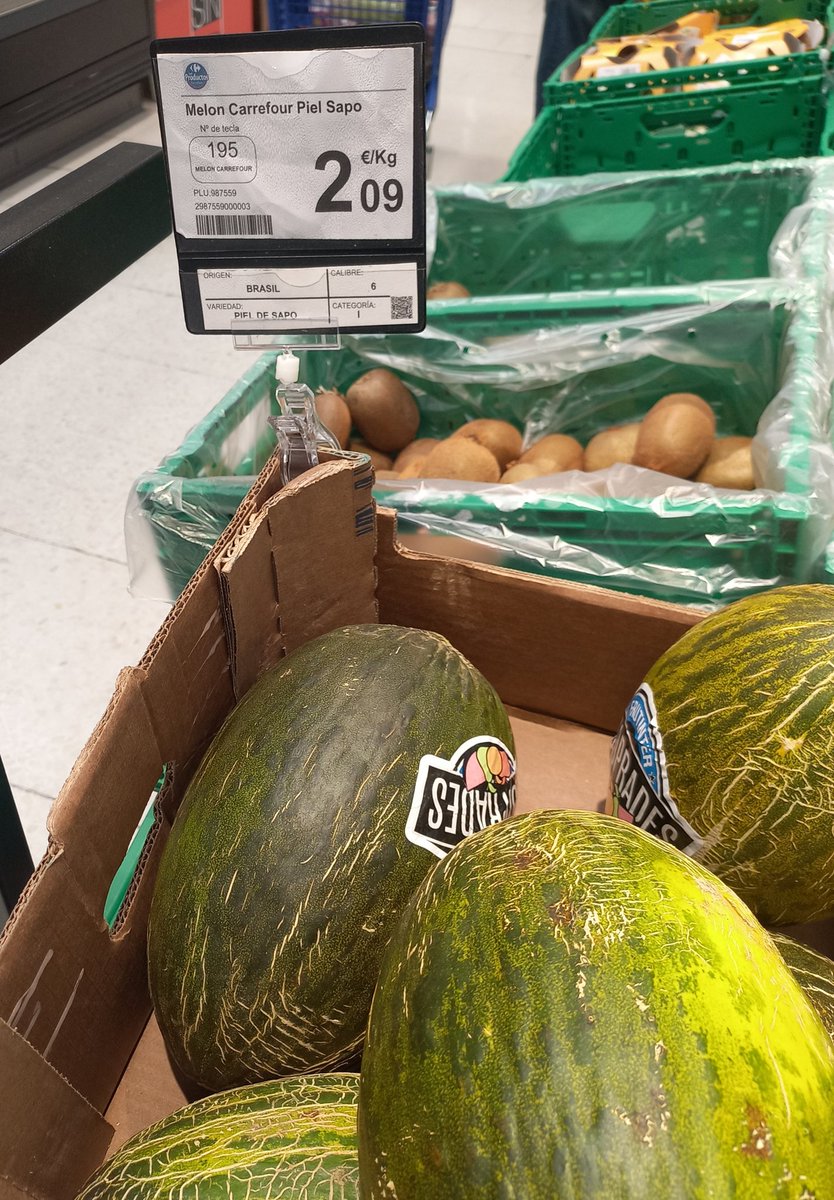 Santiago M. Barajas tweet media