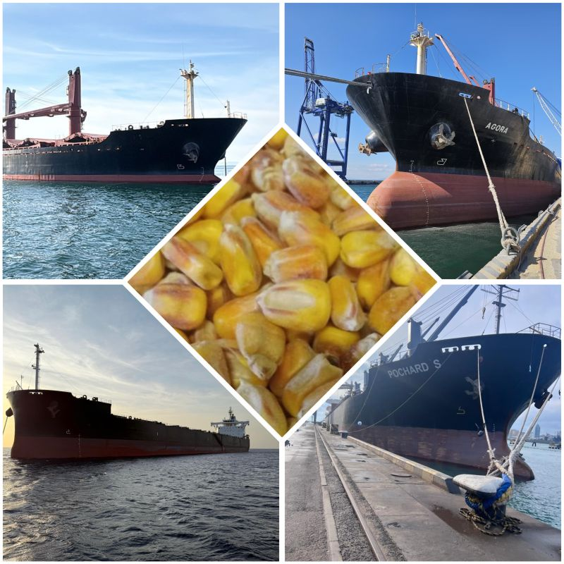 TvslEspana's tweet image. 4 in a row 🌽🌽
 
Four handy-size corn vessels currently discharging across Türkiye — Derince, Samsun, Karasu and İzmir 🇹🇷 
 
Thanks to our reliable partners on both ends for the smooth cooperation

#trading #suppliers #tradespecialist