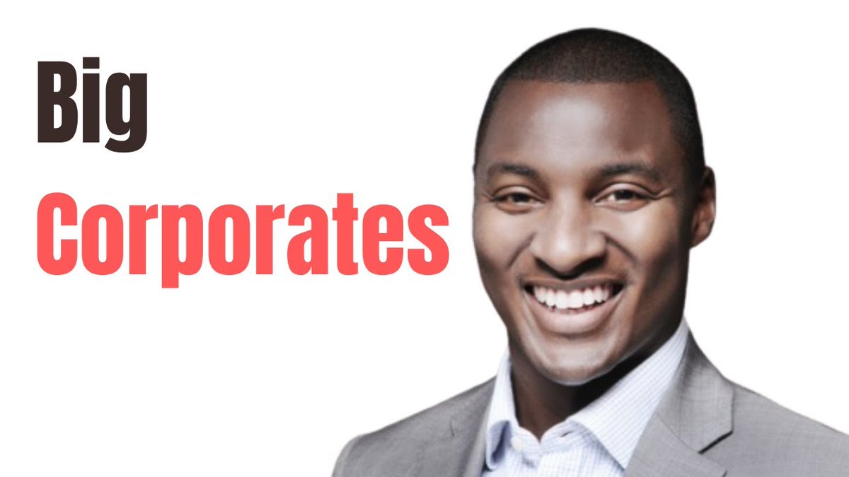 TheMikePitt's tweet image. What did you Learn at Big Corporates? bit.ly/3Cawi1x #bigcorporates #business #systems