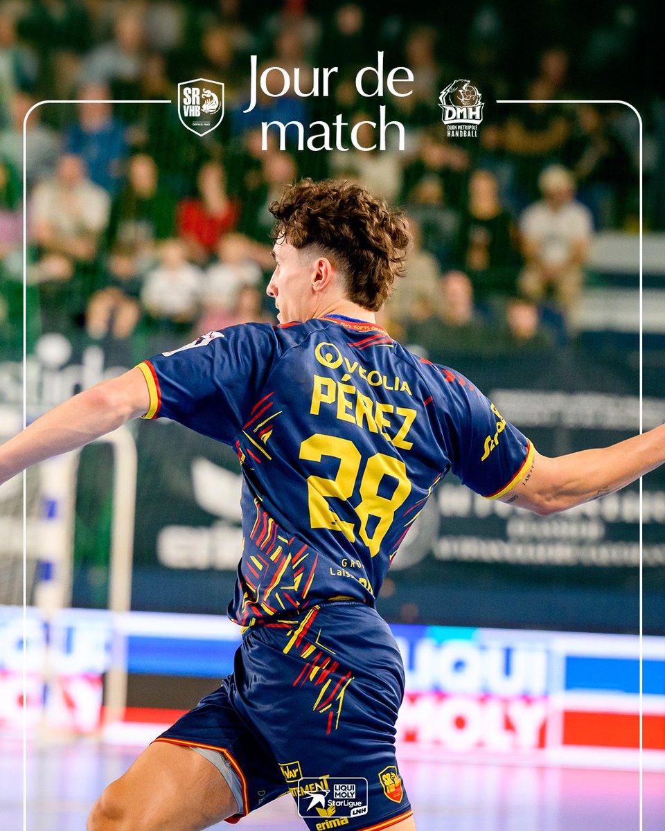 Saint-Raphaël Var Handball tweet media